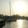 SONY DSC