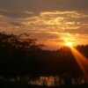 SONY DSC