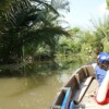 SONY DSC
