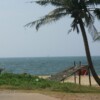 SONY DSC